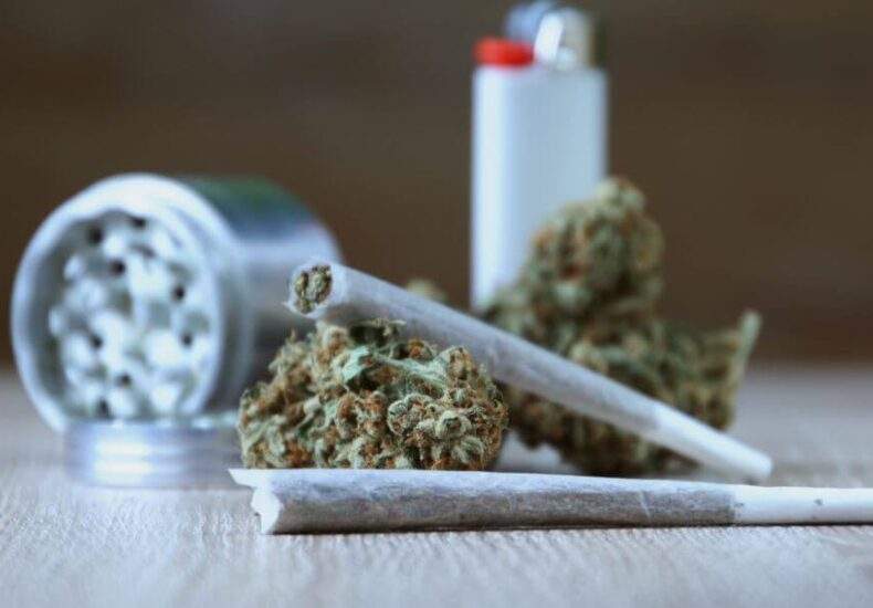 WHATS THE DIFFERENCE BETWEEN INDICA AND SATIVA STRAINS