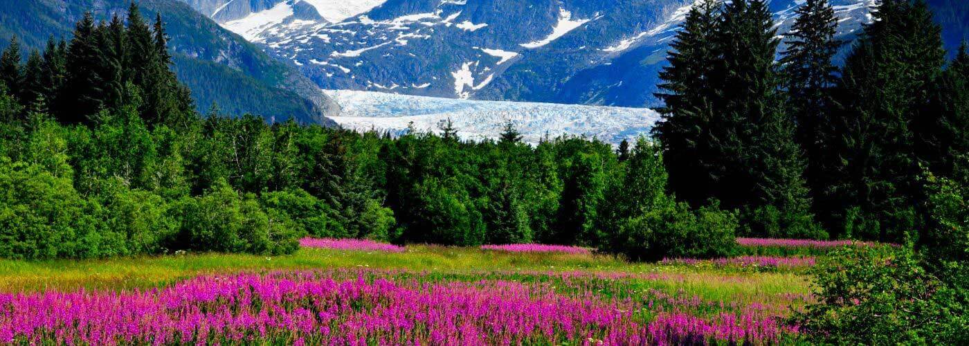 WHAT MAKES ALASKA CANNABIS PARADISE