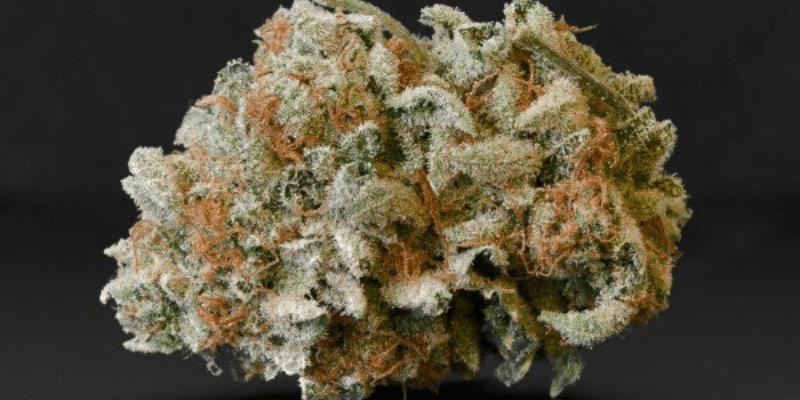Buy Cannabis Flower in Wasilla & Palmer, AK | Bad Gramm3r