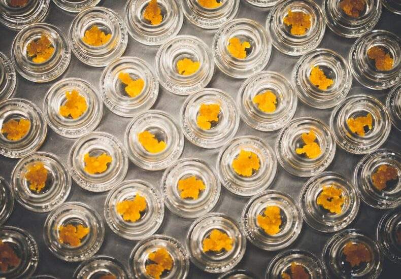 BadGramm3rConcentratesVsFlower