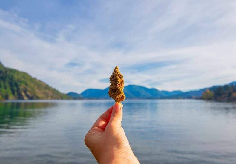 BadGramm3rTop9CannabisStrainsForSummer