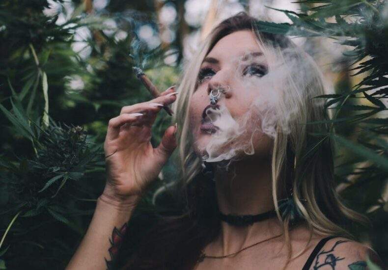 HYBRID CANNABIS STRAINS WHAT IS HYBRID WEED