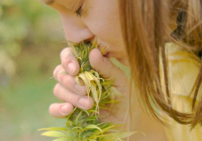 WHAT ARE TERPENES AND HOW DO THEY AFFECT CANNABIS