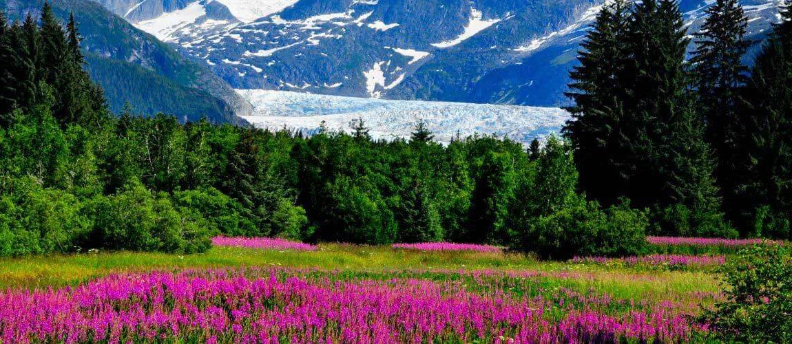 WHAT MAKES ALASKA CANNABIS PARADISE