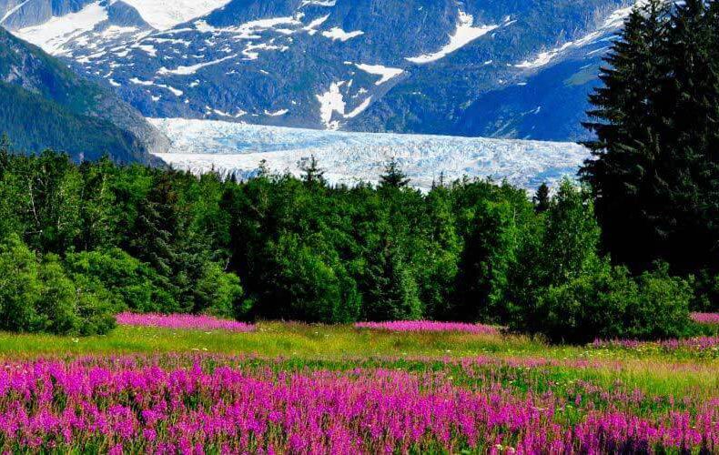 WHAT MAKES ALASKA CANNABIS PARADISE