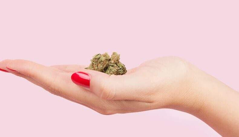 Womans hand holding a marijuana nugget