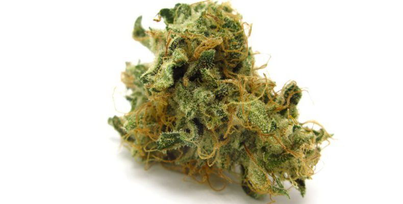 grease.monkey.strain